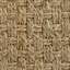 Rattan