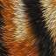 Fur
