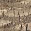Bark