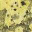 Granite