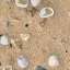Sand