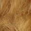 Fur