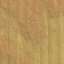 Cardboard