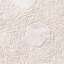 Stucco