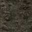 Bark