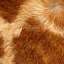 Fur