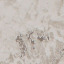 Stucco