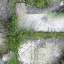 Pawing