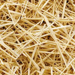 Hay