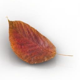 leaf 7 3D Model Preview #123e2000