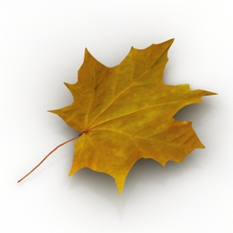 3D Leaf preview