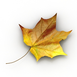 3D Leaf preview