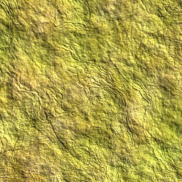 Grass