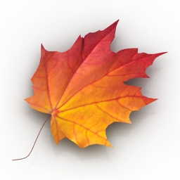3D Leaf preview