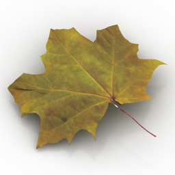 3D Leaf preview