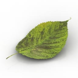 3D Leaf preview