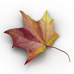3D Leaf preview