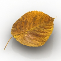 3D Leaf preview