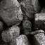 Coal