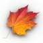 Leaf