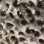 Stucco