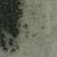 Cement