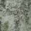 Cement