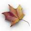 Leaf
