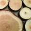 Logs