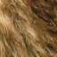 Fur