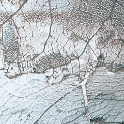 Tile