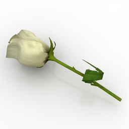 3D Rose preview