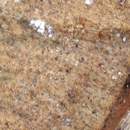 Log
