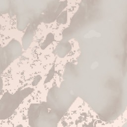 Wallpaper