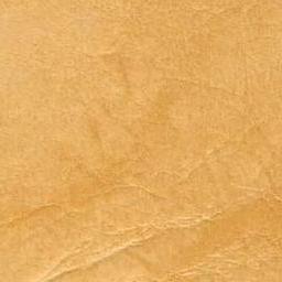 Leather