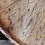 Log