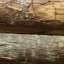 Logs