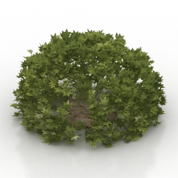 3D Bush preview