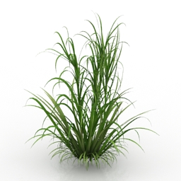 3D Grass preview