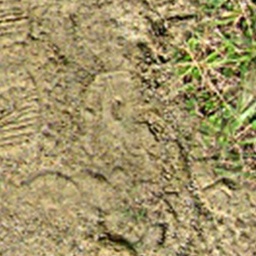 Ground