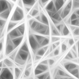 Bone