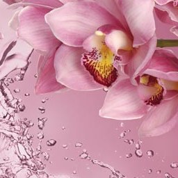 Download 3d cad models, 3d max textures, 3d help