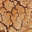 Ground
