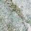 Marble