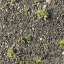Ground