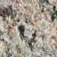 Granite