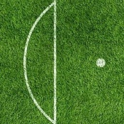 Field