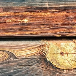 Plank