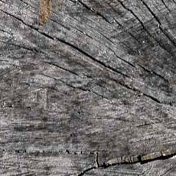 Log
