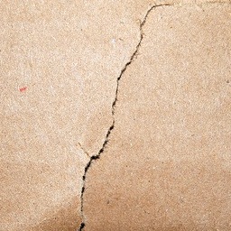 Cardboard